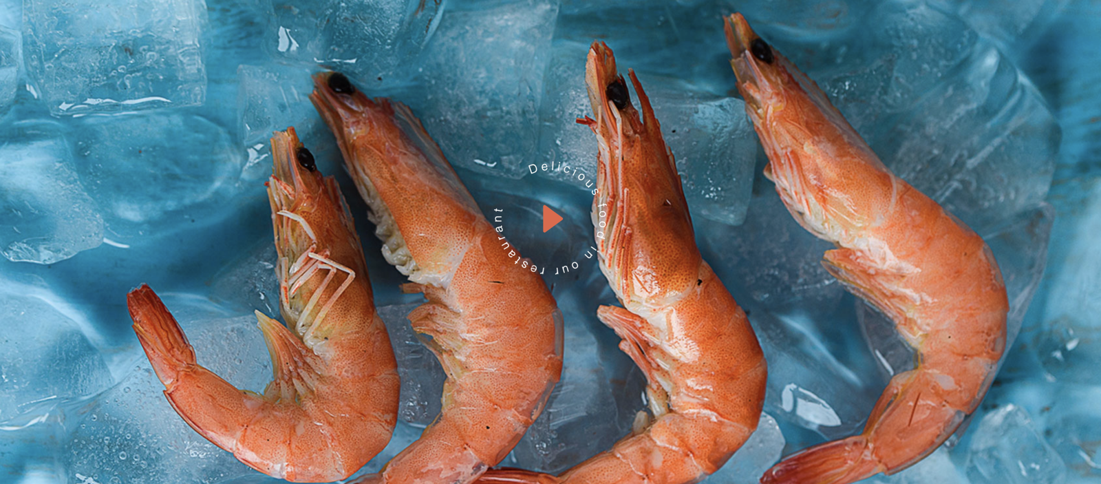 Captura de Tela 2026-02-12 às 06.49.54